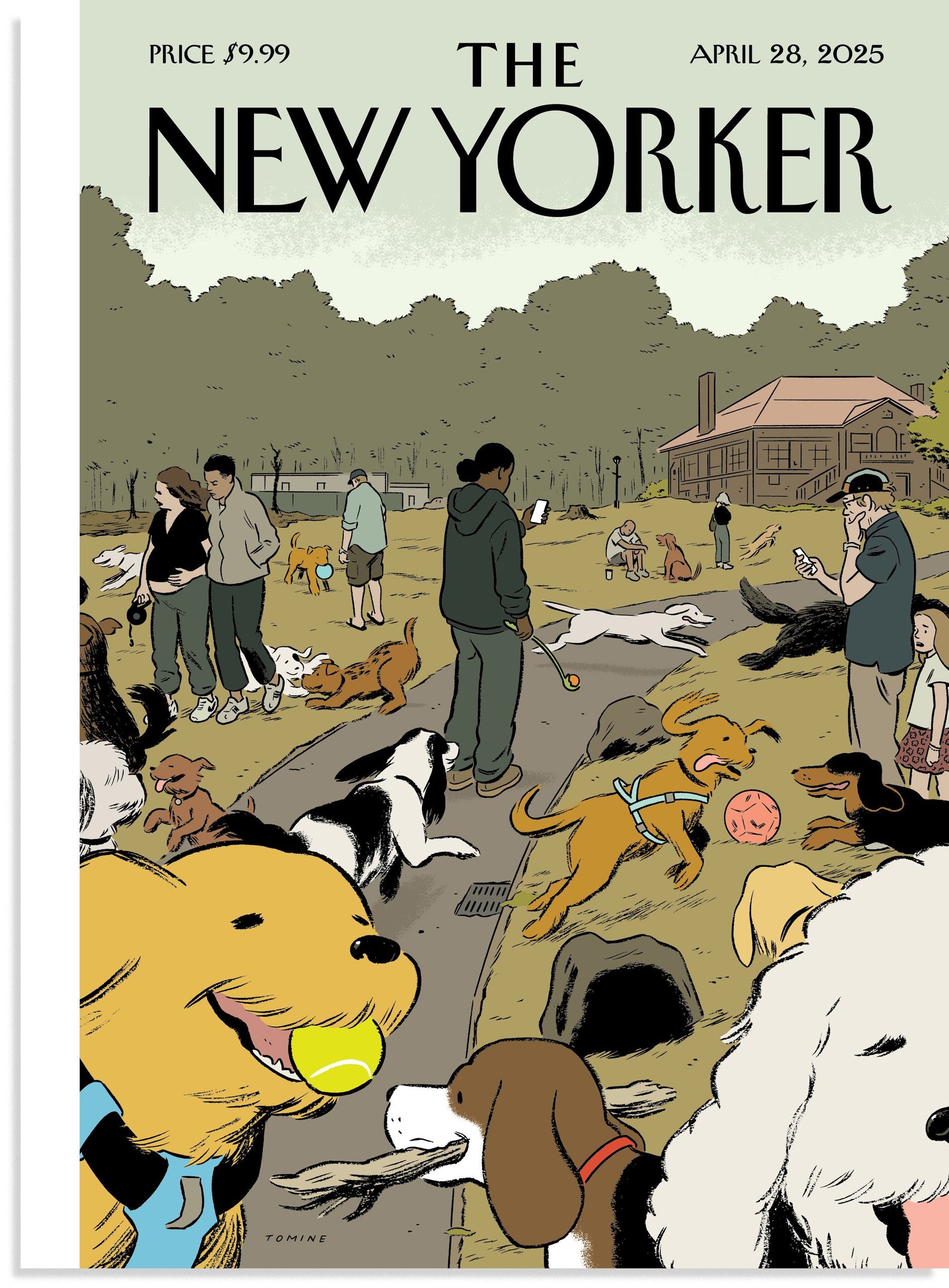 New Yorker