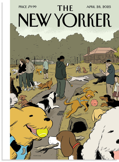New Yorker